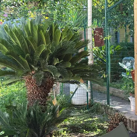 Nonna Alba Casa בארי